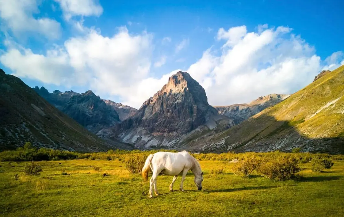 Caballo en un potrero verde al pie de la cordillera