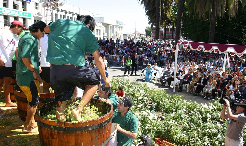 La Fiesta de la Vendimia de Curicó: la historia de la vendimia más grande de Chile