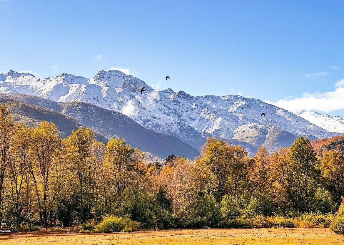 ¿Por qué visitar Los Andes curicanos en otoño?