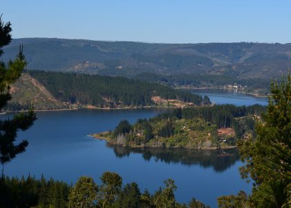 Publica con nosotros