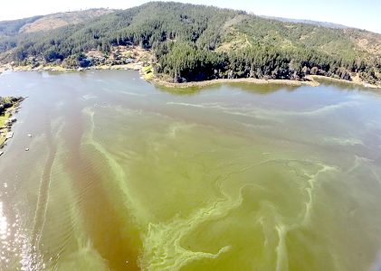 Lago Vichuquén: la señal de alerta que no podemos ignorar