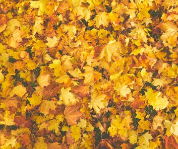 Últimos días del verano: ¿Cuándo inicia el otoño?